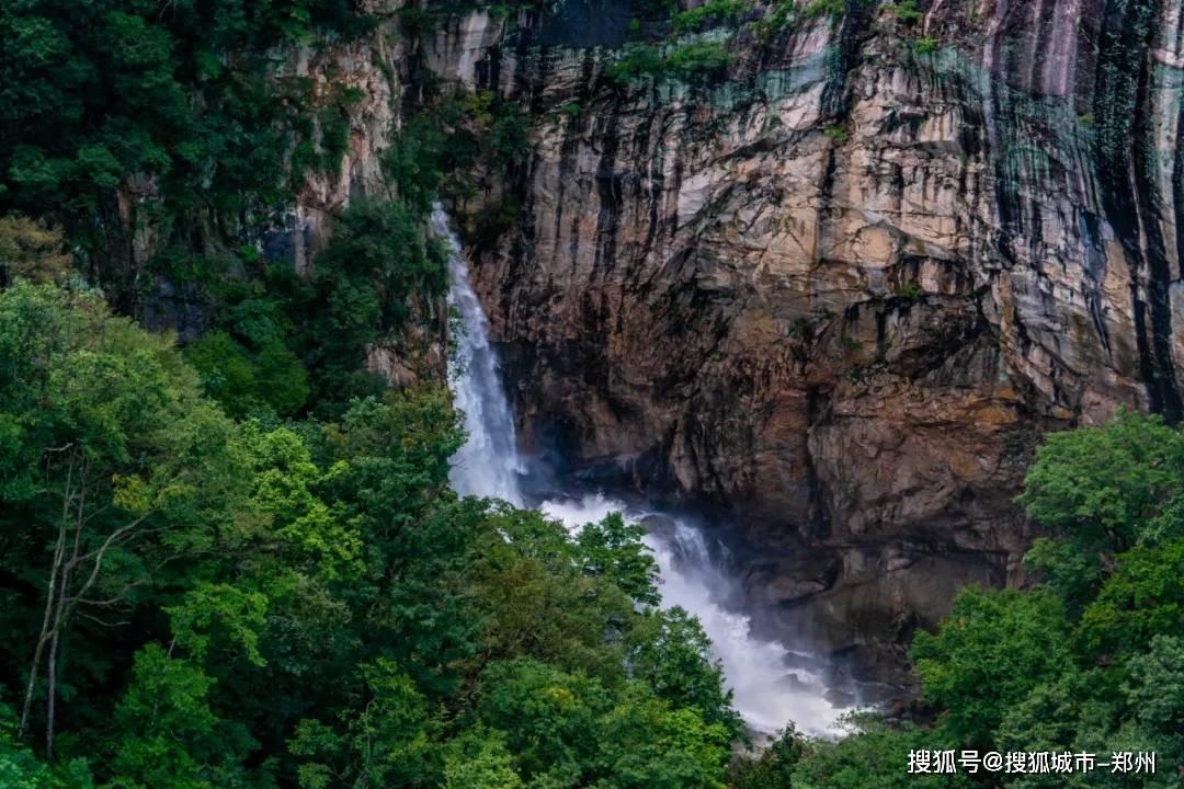 “上门做饭”走红，成都这份工作火上热搜，顾客大多都是哪些群体？游戏画面